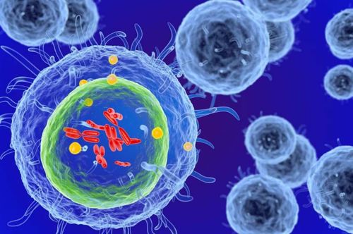 細胞治療 以生命修復生命，干細胞技術引領現代醫學革命