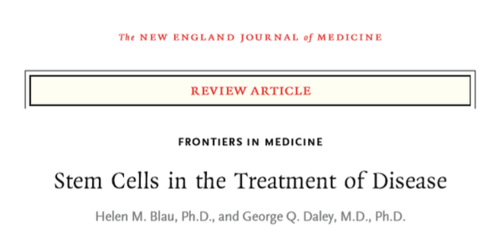 干細胞 生命科學的“萬能鑰匙”在癌癥、糖尿病與組織修復中的革命性突破