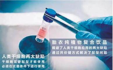 年輕之源 人體干細胞技術的開發與應用前景